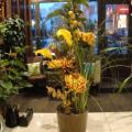 !2009 02 17 001.JPG